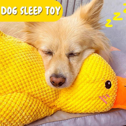 YOBENSUN™ – A squeaky plush yellow duck – suitable for all dog breeds
